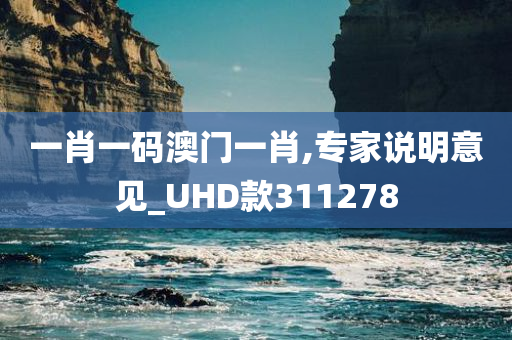 一肖一码澳门一肖,专家说明意见_UHD款311278