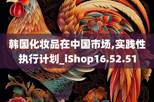 韩国化妆品在中国市场,实践性执行计划_iShop16.52.51