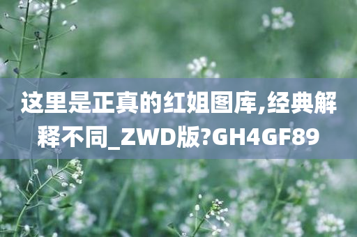 这里是正真的红姐图库,经典解释不同_ZWD版?GH4GF89