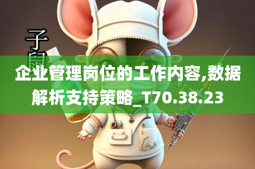 企业管理岗位的工作内容,数据解析支持策略_T70.38.23