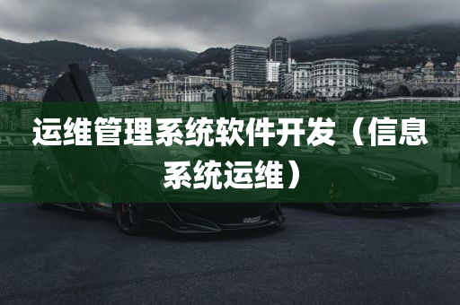 运维管理系统软件开发（信息系统运维）