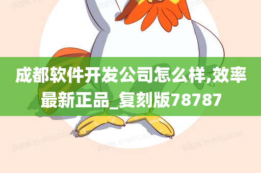 成都软件开发公司怎么样,效率最新正品_复刻版78787