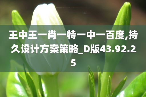 王中王一肖一特一中一百度,持久设计方案策略_D版43.92.25