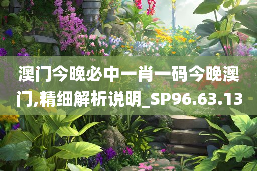 澳门今晚必中一肖一码今晚澳门,精细解析说明_SP96.63.13