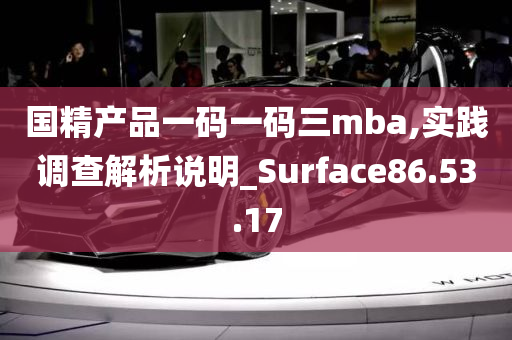 国精产品一码一码三mba,实践调查解析说明_Surface86.53.17