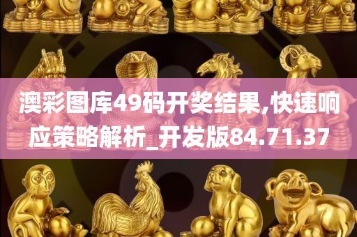 澳彩图库49码开奖结果,快速响应策略解析_开发版84.71.37