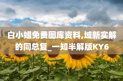 白小姐免费图库资料,域新实解的同总复_一知半解版KY6