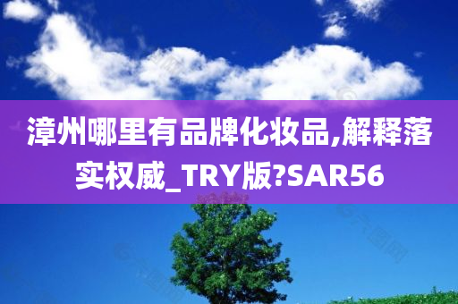 漳州哪里有品牌化妆品,解释落实权威_TRY版?SAR56