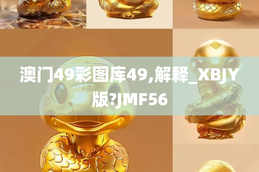 澳门49彩图库49,解释_XBJY版?JMF56