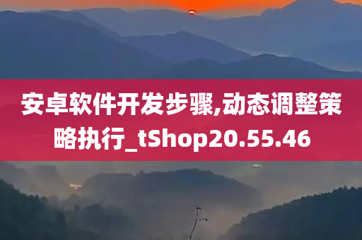 安卓软件开发步骤,动态调整策略执行_tShop20.55.46