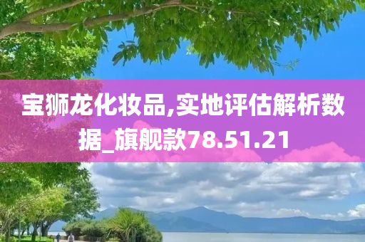 宝狮龙化妆品,实地评估解析数据_旗舰款78.51.21