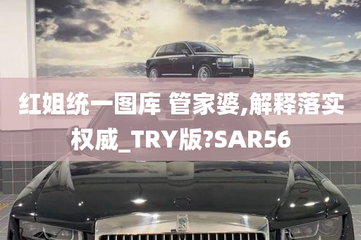 红姐统一图库 管家婆,解释落实权威_TRY版?SAR56