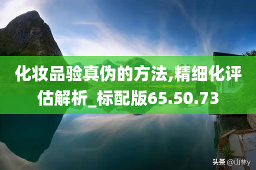 化妆品验真伪的方法,精细化评估解析_标配版65.50.73