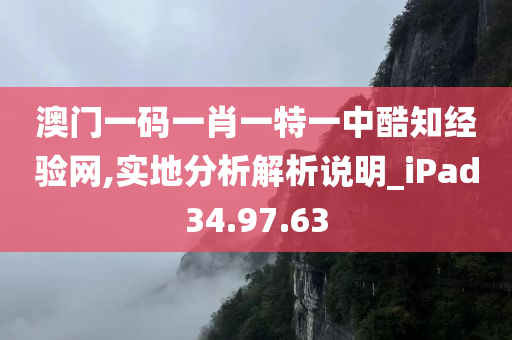 澳门一码一肖一特一中酷知经验网,实地分析解析说明_iPad34.97.63