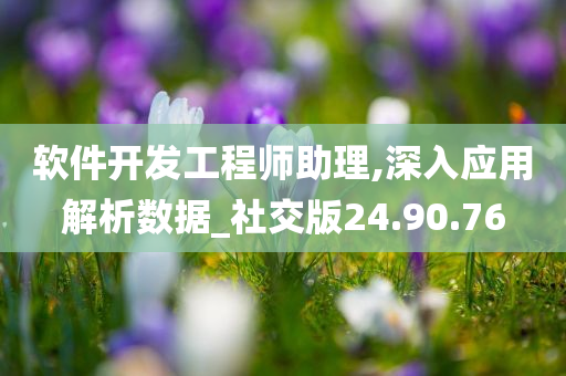 软件开发工程师助理,深入应用解析数据_社交版24.90.76