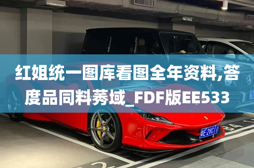 红姐统一图库看图全年资料,答度品同料莠域_FDF版EE533