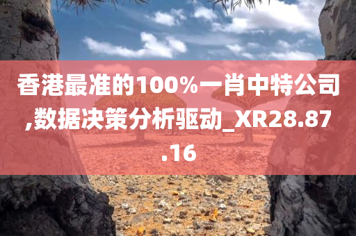 香港最准的100%一肖中特公司,数据决策分析驱动_XR28.87.16