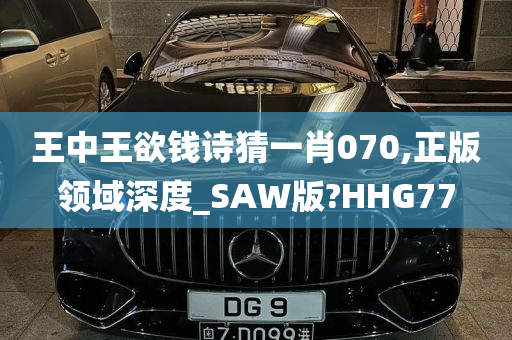 王中王欲钱诗猜一肖070,正版领域深度_SAW版?HHG77