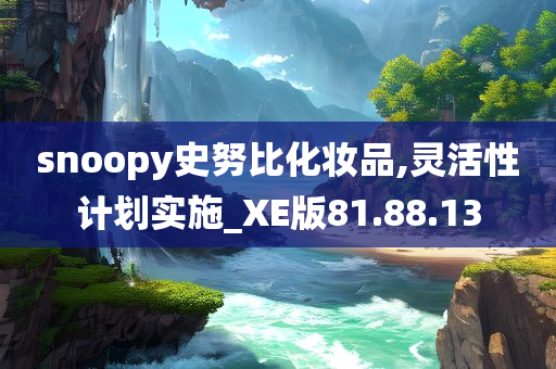 snoopy史努比化妆品,灵活性计划实施_XE版81.88.13