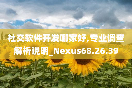 社交软件开发哪家好,专业调查解析说明_Nexus68.26.39