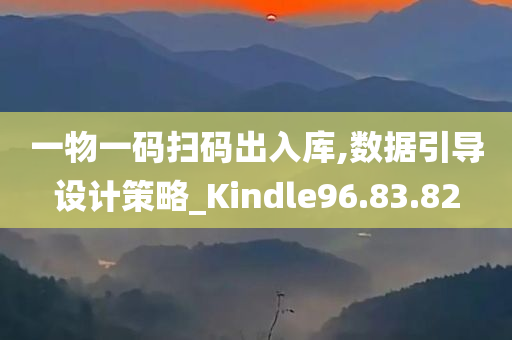 一物一码扫码出入库,数据引导设计策略_Kindle96.83.82