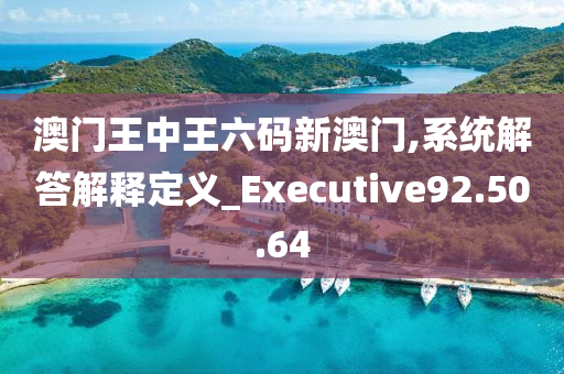 澳门王中王六码新澳门,系统解答解释定义_Executive92.50.64