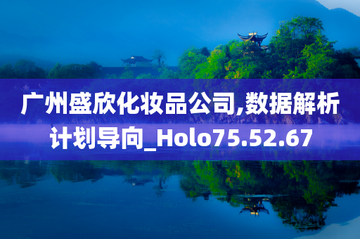 广州盛欣化妆品公司,数据解析计划导向_Holo75.52.67