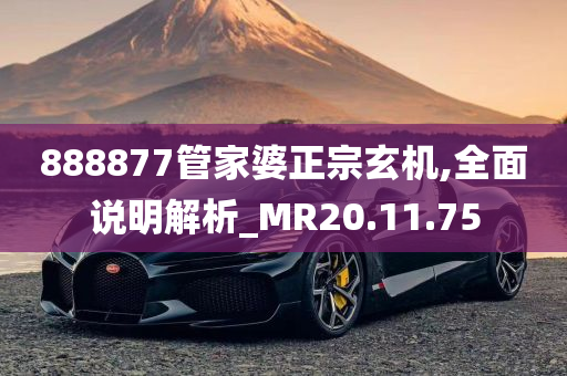 888877管家婆正宗玄机,全面说明解析_MR20.11.75