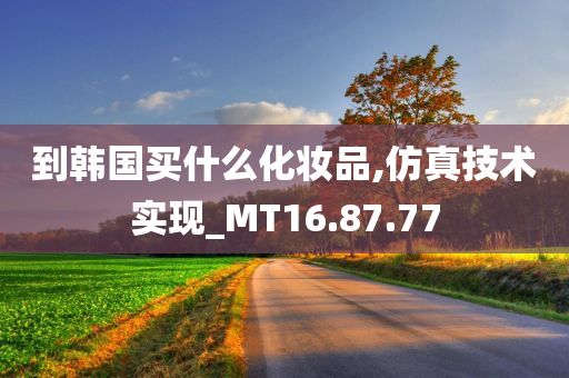 到韩国买什么化妆品,仿真技术实现_MT16.87.77