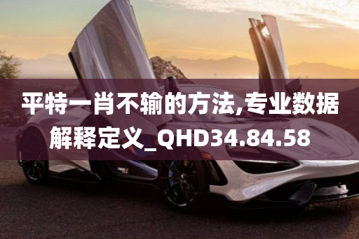 平特一肖不输的方法,专业数据解释定义_QHD34.84.58