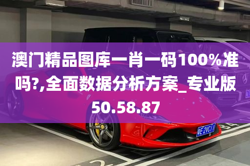 澳门精品图库一肖一码100%准吗?,全面数据分析方案_专业版50.58.87