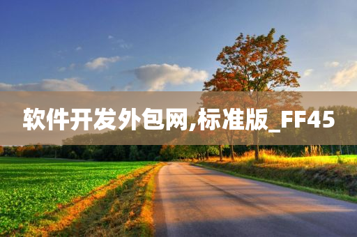 软件开发外包网,标准版_FF45