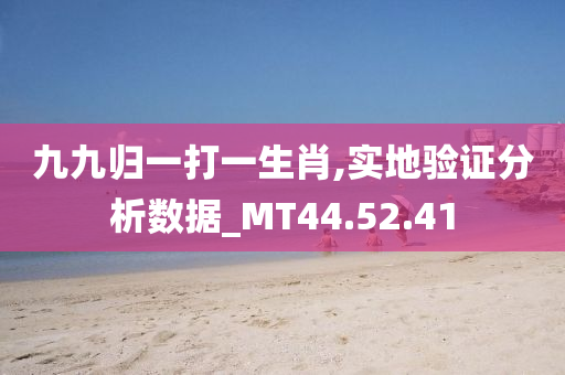 九九归一打一生肖,实地验证分析数据_MT44.52.41