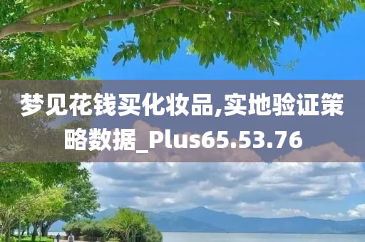 梦见花钱买化妆品,实地验证策略数据_Plus65.53.76