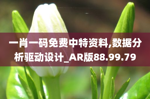 一肖一码免费中特资料,数据分析驱动设计_AR版88.99.79