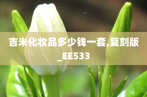 吉米化妆品多少钱一套,复刻版_EE533