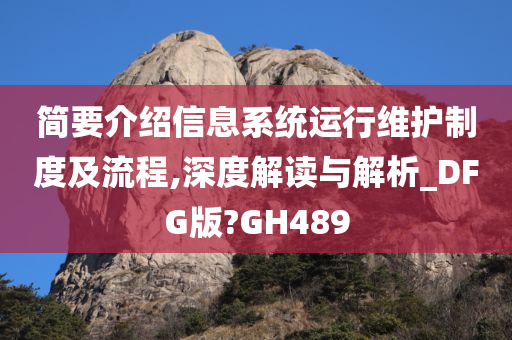 简要介绍信息系统运行维护制度及流程,深度解读与解析_DFG版?GH489