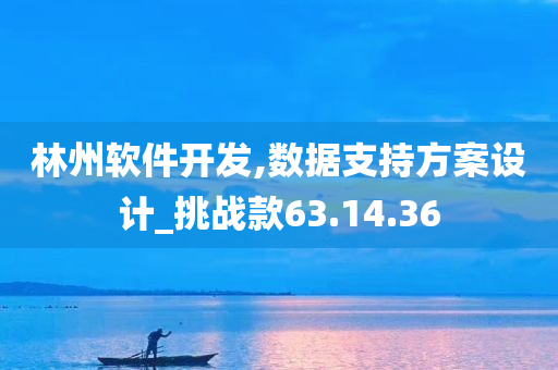 林州软件开发,数据支持方案设计_挑战款63.14.36