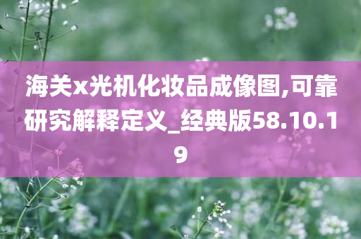 海关x光机化妆品成像图,可靠研究解释定义_经典版58.10.19