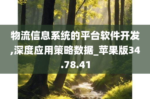 物流信息系统的平台软件开发,深度应用策略数据_苹果版34.78.41