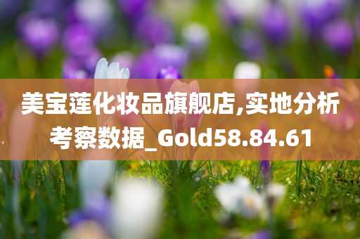 美宝莲化妆品旗舰店,实地分析考察数据_Gold58.84.61