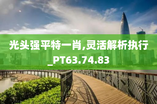 光头强平特一肖,灵活解析执行_PT63.74.83