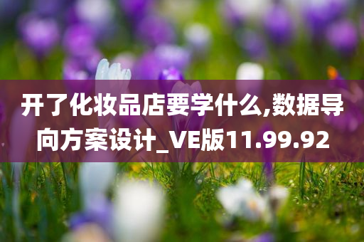 开了化妆品店要学什么,数据导向方案设计_VE版11.99.92