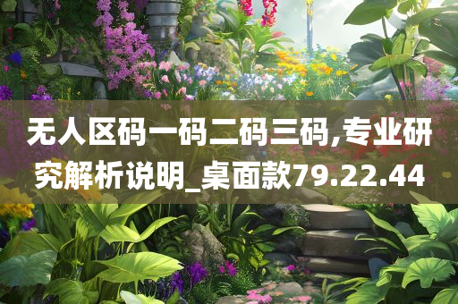 无人区码一码二码三码,专业研究解析说明_桌面款79.22.44