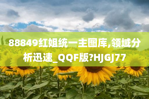 88849红姐统一主图库,领域分析迅速_QQF版?HJGJ77