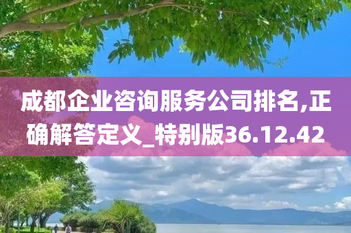 成都企业咨询服务公司排名,正确解答定义_特别版36.12.42