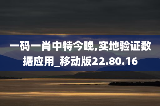 一码一肖中特今晚,实地验证数据应用_移动版22.80.16