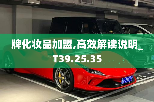 牌化妆品加盟,高效解读说明_T39.25.35