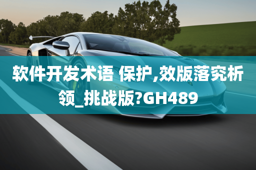 软件开发术语 保护,效版落究析领_挑战版?GH489