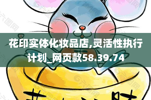 花印实体化妆品店,灵活性执行计划_网页款58.39.74